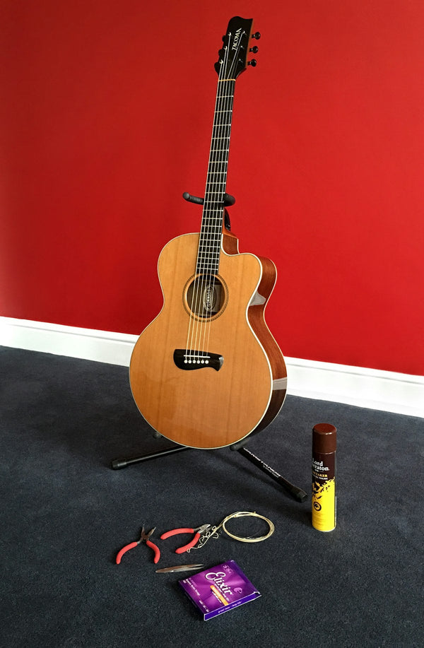 Instrument Polish and Lemon Oil Combo