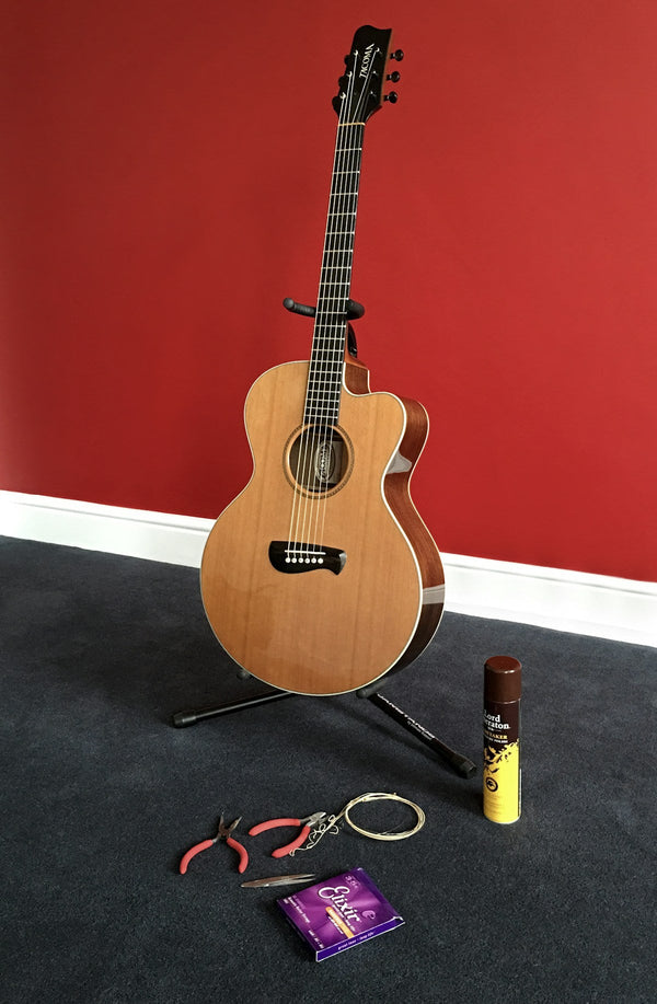 Guitar Cleaning Kit