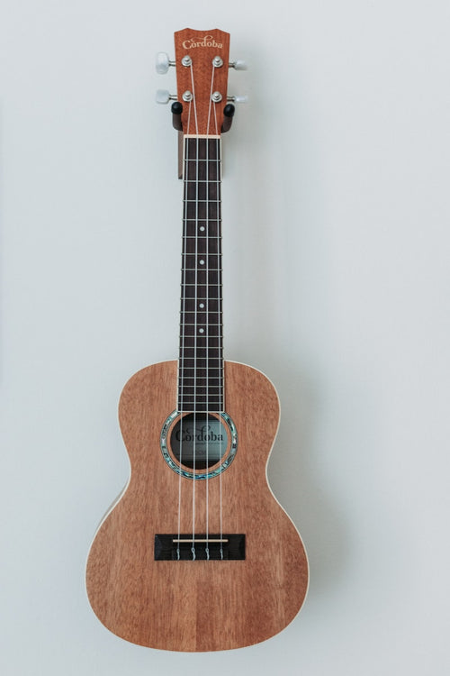 Ukulele