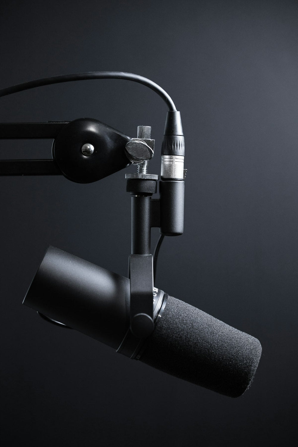 Mic Pop Filter — angle 1 of 1