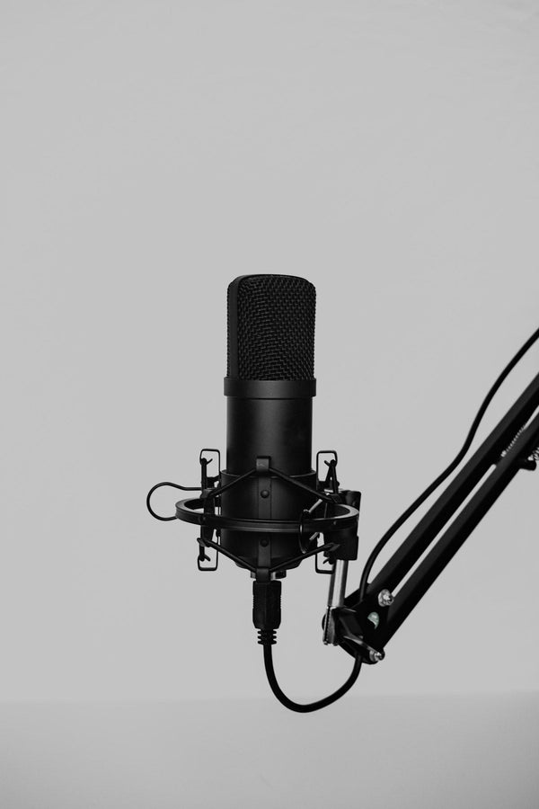 Beta 58A Microphone
