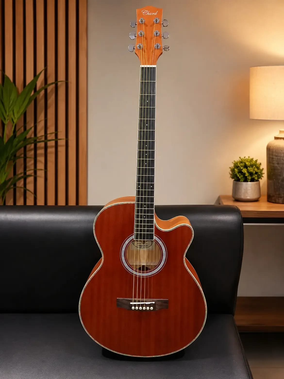 Semi-Acoustic Collection